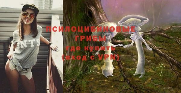 хмурый Белоозёрский
