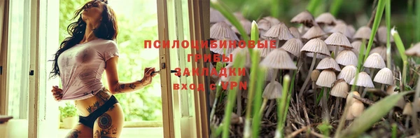 скорость mdpv Белокуриха
