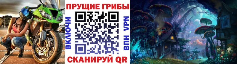 закладки  Бугульма  Галлюциногенные грибы прущие грибы 