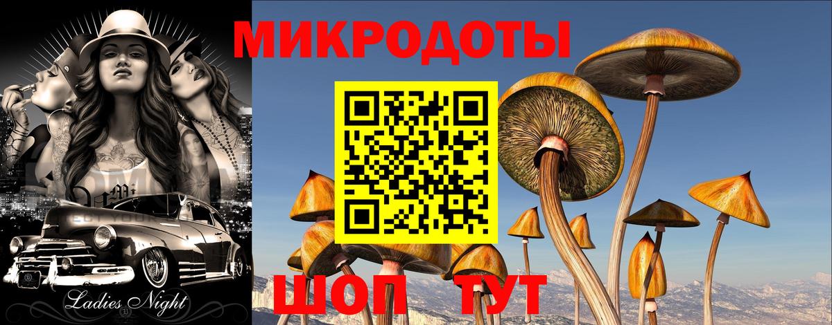 Галлюциногенные грибы Cubensis Бугульма