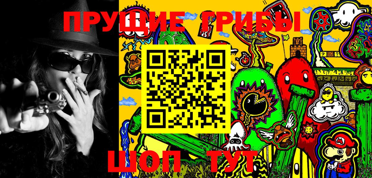 Бугульма  Псилоцибиновые грибы Psilocybine cubensis  как найти закладки  Вход с VPN 